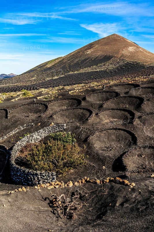 2016, La Geria, Lanzarote, La Geria, ESP, Spain, Canary Islands, Canary Islands, Atlantic Ocean, Lanzarote, biosphere reserve, volcano, volcanism, volcanic island, island, wine-growing area, wine, nature reserve, recording date, Europe
