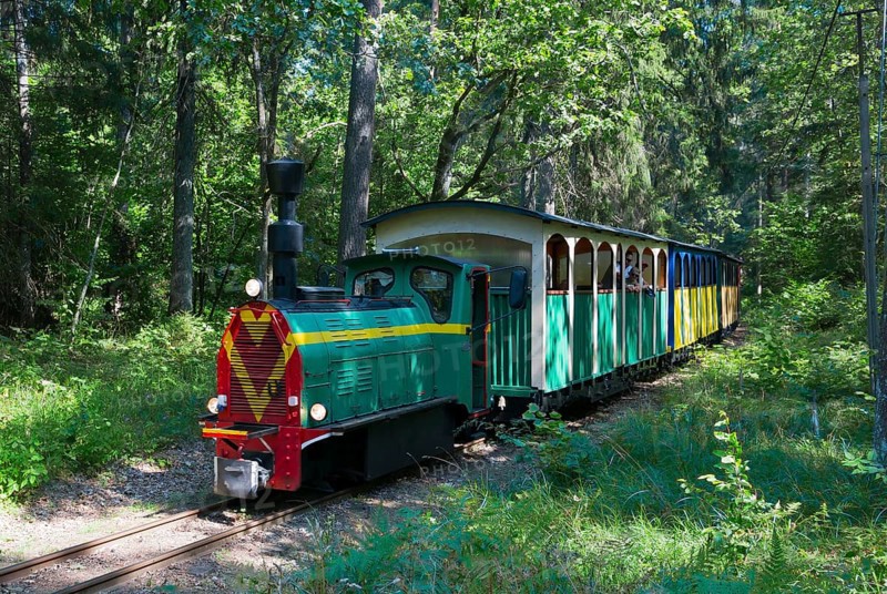 A colourful train runs through a green forest on narrow rails, diesel locomotive, Wls 40 type light railway locomotive with additional exhaust attachment, Wigry narrow-gauge railway, Plociczno-Tartak, Suwalki, Podlaskie, Poland, Europe