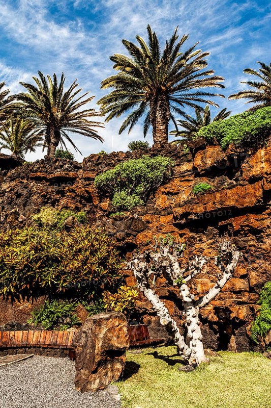 2016, Lanzarote, Jameos del Agua, lava tunnel, Cesar Manrique, ESP, Spain, Canary Islands, Canary Islands, Atlantic Ocean, Lanzarote, biosphere reserve, volcano, volcanism, volcanic island, island, grotto, recording date, Europe