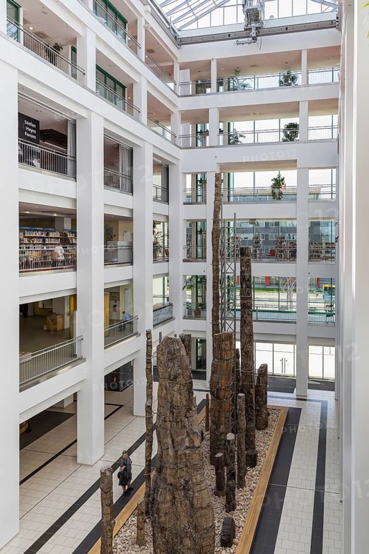 Exhibition Steinerer Wald in the foyer of the cultural department stores' DAStietz, Chemnitz, Saxony, Germany, Europe
