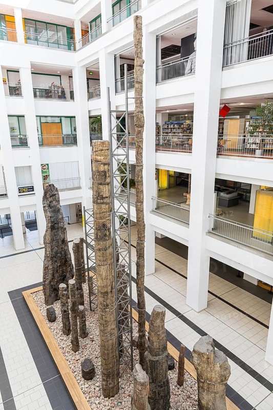 Exhibition Steinerer Wald in the foyer of the cultural department stores' DAStietz, Chemnitz, Saxony, Germany, Europe