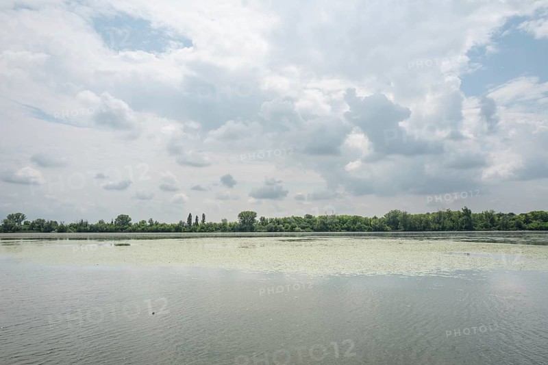 Parco del Mincio, Mantua, Italy, Europe