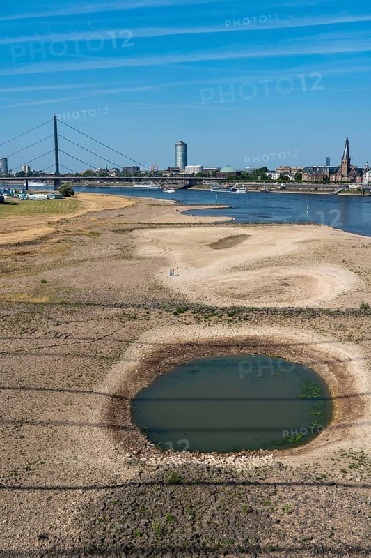 Rhine at Düsseldorf, extremely low water, Rhine level at 81 cm, tendency falling, after a long drought the left bank of the Rhine is dry, at Düsseldorf Oberkassel, view from the Rheinkniebrücke to the Oberkassler Brücke North Rhine-Westphalia, Germany, Europe