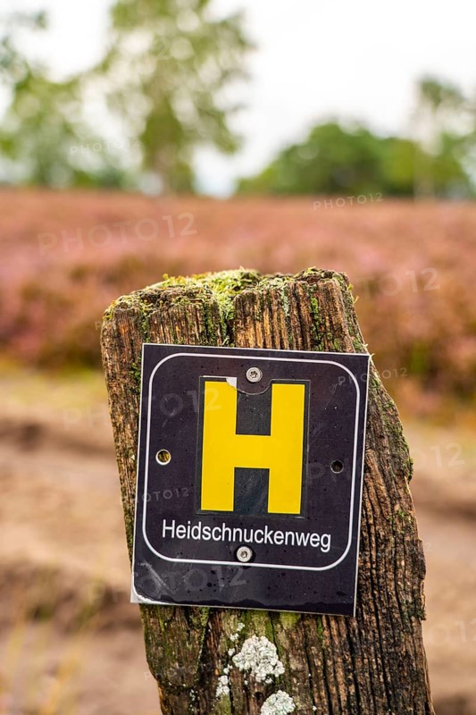 The Osterheide, in the Lüneburg Heath nature reserve, hiking sign, Heidschnuckenweg, hiking trail, near Schneverdingen, Lower Saxony, Germany, Europe