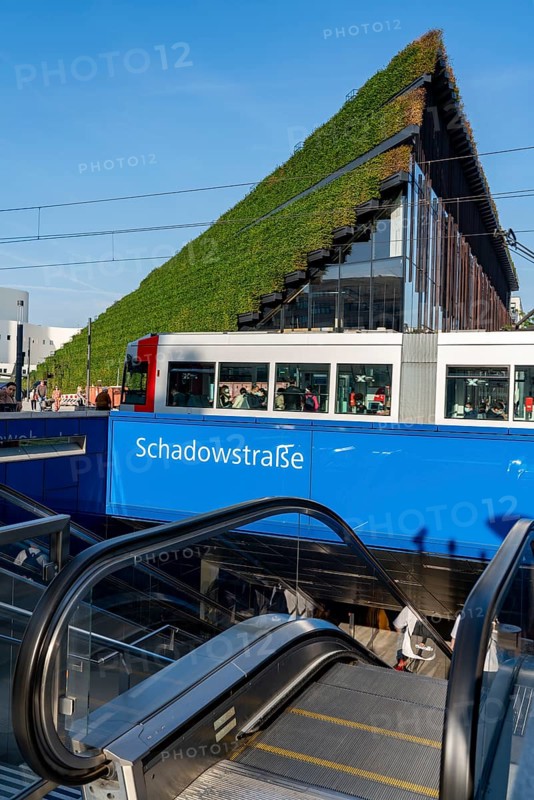 Largest green façade in Europe, on the Kö-Bogen II, building, shopping and office building on Gustav-Gründgens-Platz, 8 kilometres of hornbeam hedges were planted on the façade and roof, Düsseldorf, North Rhine-Westphalia, Germany, Europe
