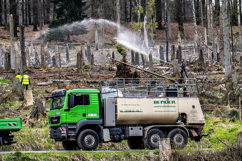 Spraying of a cleared forest area on which spruce trees infested by the bark beetle have died, thus stopping erosion and quickly and effectively establishing plants, the seed is mixed with fertiliser and water and sprayed onto the area at high pressure, near Hirschberg, Arnsberg Forest, North Rhine-Westphalia, Germany, Europe