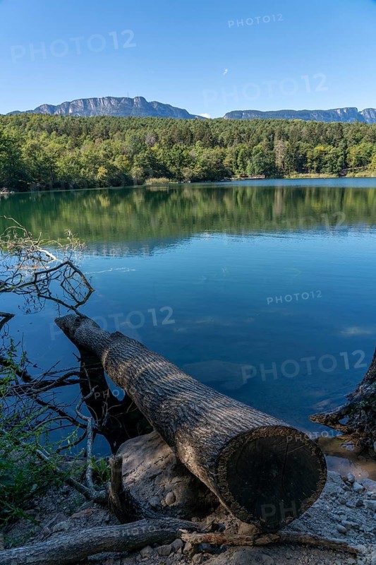 The Montiggler Lakes, on the South Tyrolean Wine Road, biotope and local recreation area, the small Montiggler Lake, near the village of Kaltern, Italy, Europe