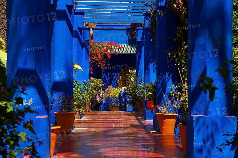 Flower decoration in the Majorelle garden, wall, clay plaster, indigo, blue, colourful, plants, balcony, terrace, decoration, architecture, detail, atmosphere, flower pot, Marrakech, Morocco, Africa