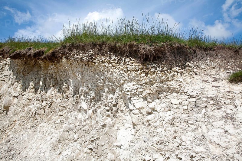Close up soil profile cross section showing thin topsoil layer on top of white chalk rock Marlborough Downs, Wiltshire, England, United Kingdom, Europe