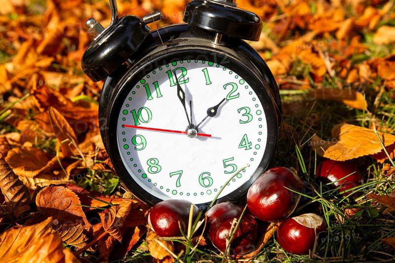 Symbolic image time change, autumn: An alarm clock among autumn leaves