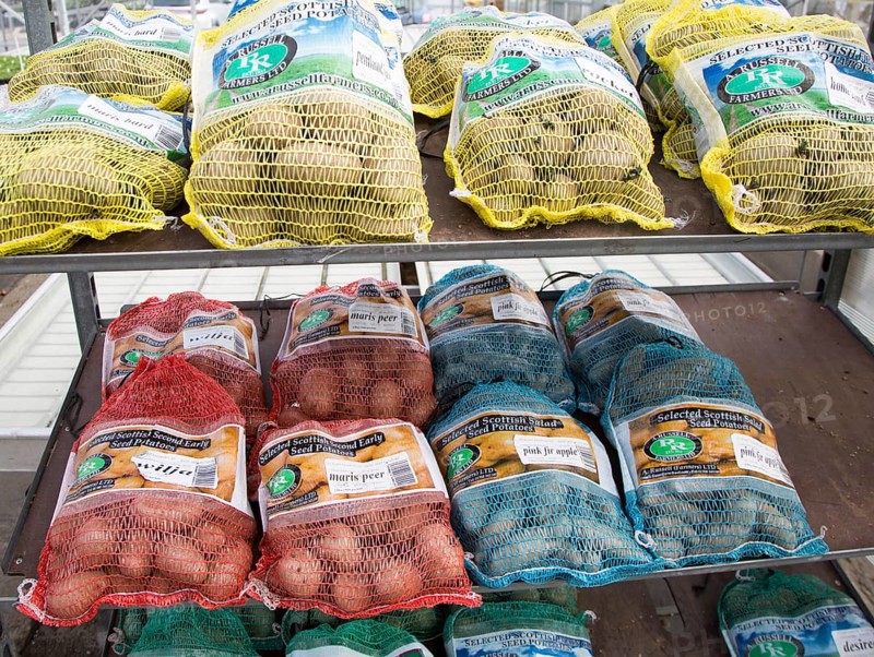 Bags of seed potatoes on sale Ladybird Nurseries garden centre, Gromford, Suffolk, England, UK