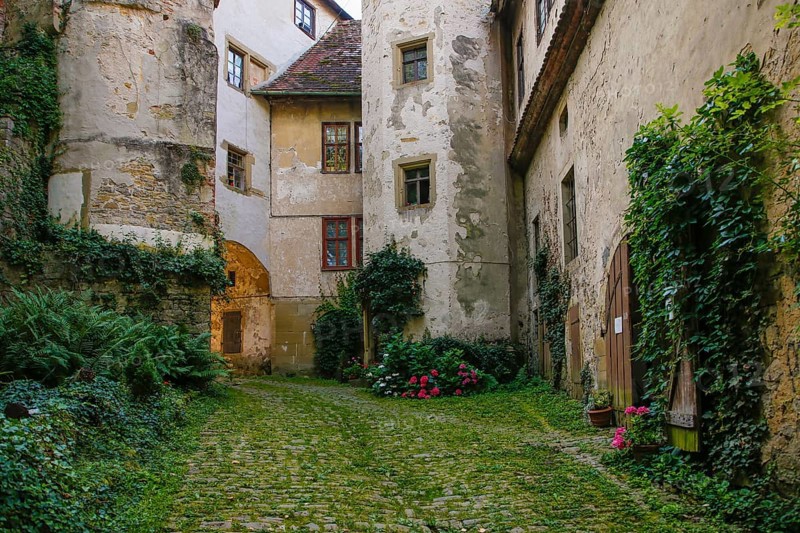 Hochberg Castle, formerly Hochberg Castle, Hohenberg Castle, former seat of the Hochberg lordship, inner courtyard, historic building, architecture, hydrangeas, climbing plants, Hochberg district, Remseck am Neckar, Ludwigsburg district, Baden-Württemberg, Germany, Europe