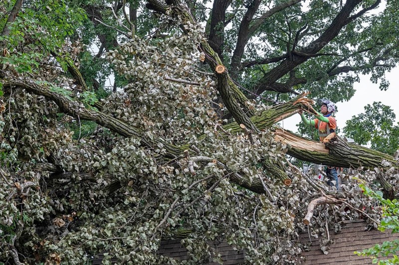 Detroit, Michigan, A storm with 70mph wind gusts blew down a 15-ton, 110-foot cottonwood, damaging three homes in the Morningside neighborhood. A dozen workers used two cranes, bucket trucks, and other equipment to remove the tree
