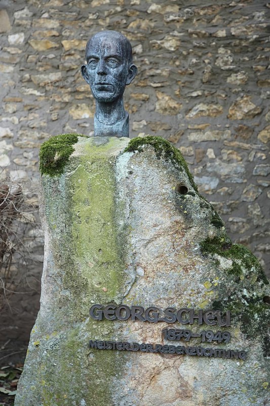 Monument to winegrower Georg Scheu, breeding of the Scheurebe, sculpture, winegrower, breeding, crossing, botany, grape variety, Riesling, Bukettraube, white wine variety, wine variety, Alzey, Rhine-Hesse region, Rhineland-Palatinate, Germany, Europe
