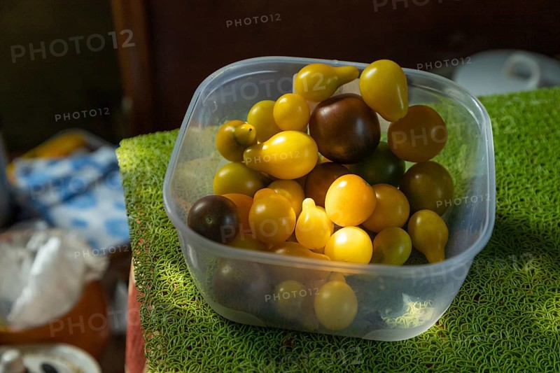 Different tomatoes in plastic container on the kitchen table. side view, close up, natural light, shadows