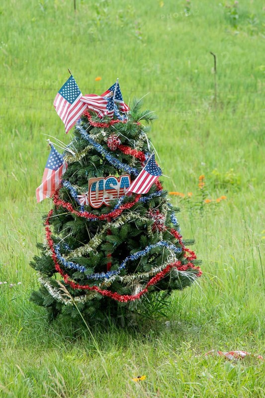 Yankee Springs Twp., Michigan, A pine tree, decorated as a patriotic Christmas tree, in summer on the side of a road in Yankee Springs Recreation Area