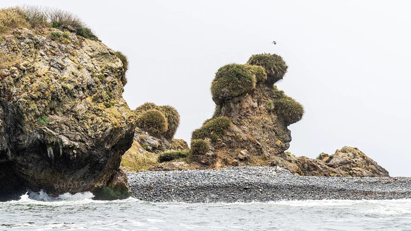 Natural Heritage Site Islotes de Punihuil, Punihuil, Chiloe, Chile, South America