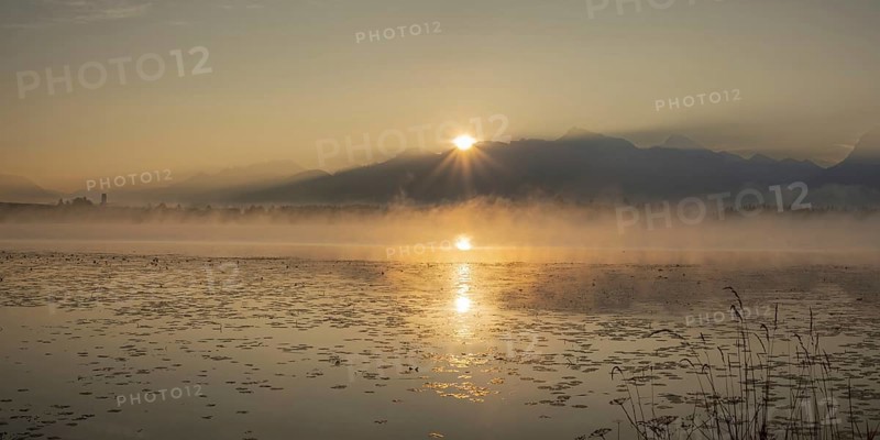 Sunrise at Lake Hopfensee near Füssen, behind Hopfen am See, the Tegelberg massif and the Säuling, Ostallgäu, Allgäu, Upper Swabia, Swabia, Bavaria, Germany, Europe