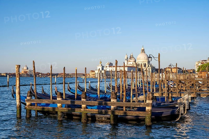 Venetian gondolas, boat dock at St Mark's Square, church Basilica di Santa Maria della Salute in the background, Venice, Veneto, Italy, Europe