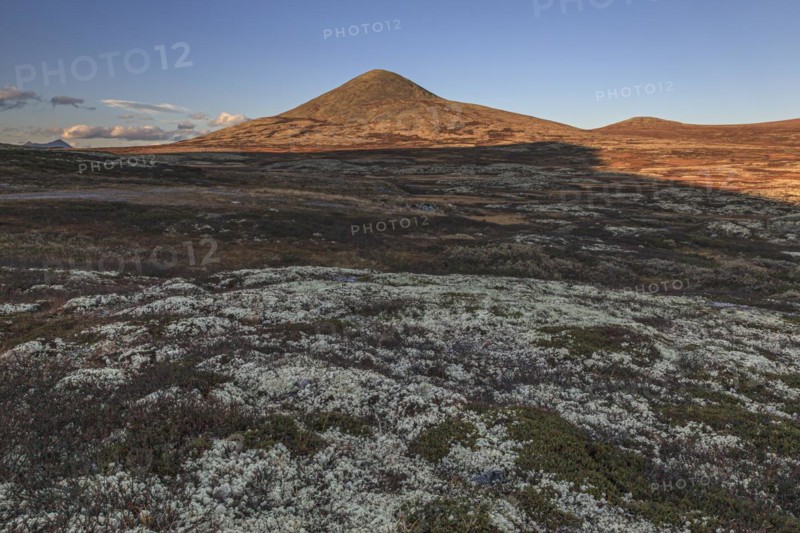 Autumnal tundra in front of a mountain in the evening light, Fjell, Rondane National Park, Norway, Europe