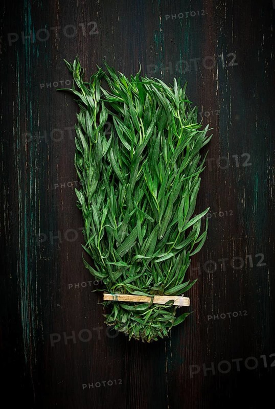 Fresh Tarragon, bunch, top view, close-up, no people