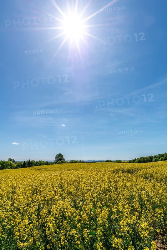 Agriculture in hilly moraine landscape, South Funen, Denmark, Fy, Funen, Denmark, Europe