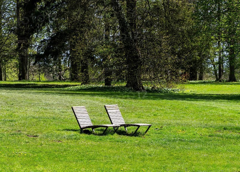 Wooden loungers in a meadow in the park, Rügen, Mecklenburg-Western Pomerania, Germany, Europe