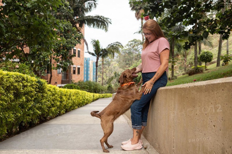 A dog jumping and placing its paws on its owner's legs, who looks at it happily, enjoying a sunny day, walking through the city in a green area
