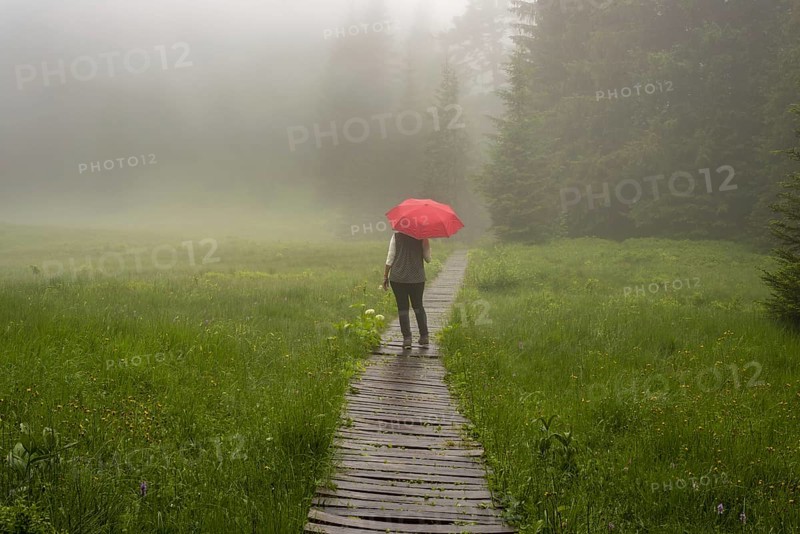 Woman 60-65 with umbrella in the Hühnermoos on a cloudy day with fog, a high moor at the Söllereck near Oberstdorf, Allgäu Alps, Allgäu, Bavaria, Germany, Europe