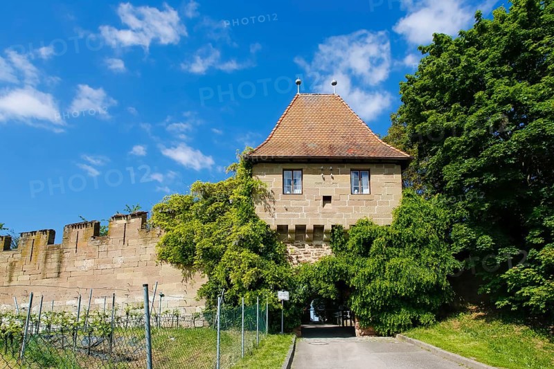 Hohenbeilstein Castle, hilltop castle, Beilstein, Heilbronn district, Baden-Württemberg, Germany, Europe