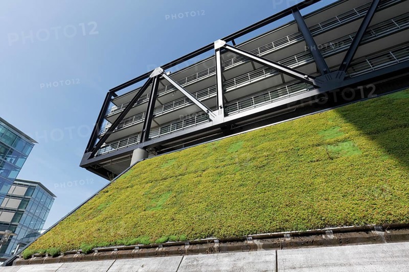Green façade on the PEC office building, cloud bow, planting to improve the climate, Düsseldorf Media Harbour, Düsseldorf, North Rhine-Westphalia, Germany, Europe