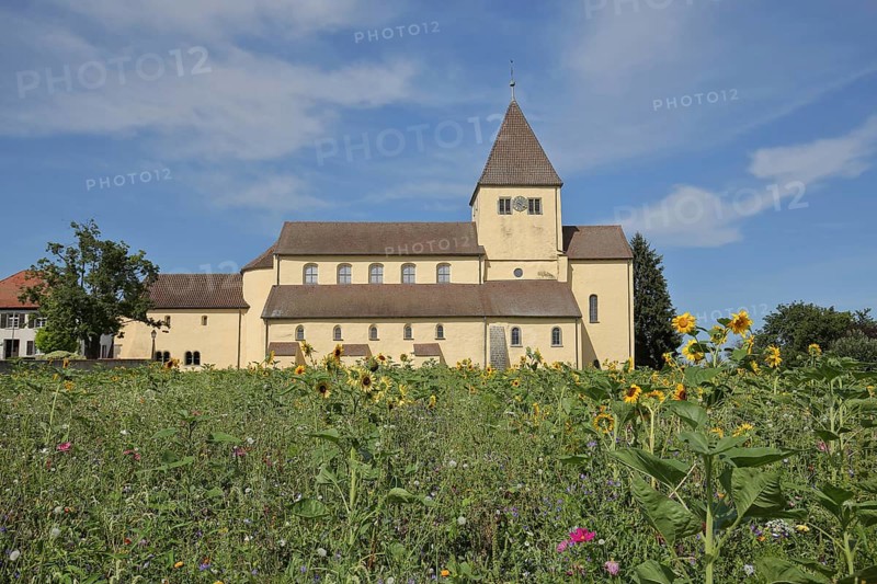UNESCO Carolingian St George's Church, flower field, flower meadow, sunflowers, Oberzell, Reichenau Island, Untersee, Lake Constance, Lake Constance area, Baden-Württemberg, Germany, Europe