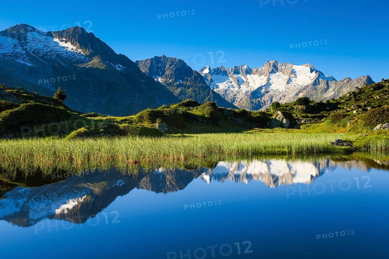 Wannenhörner, Valais, Switzerland, Europe