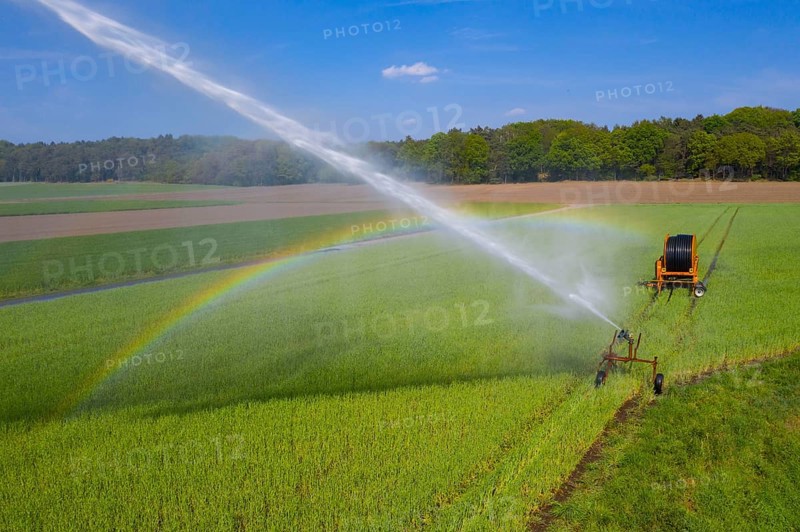 Irrigation of a wheat field on the Lower Rhine, with a mobile irrigation machine, large-area sprinkler, Germany, Europe