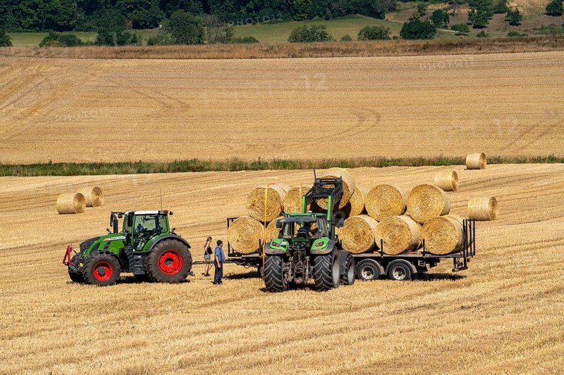 Straw harvest, bales of straw are loaded onto a transport trailer, after the grain harvest, near Meckel, Eifel, Rhineland-Palatinate, Germany, Europe