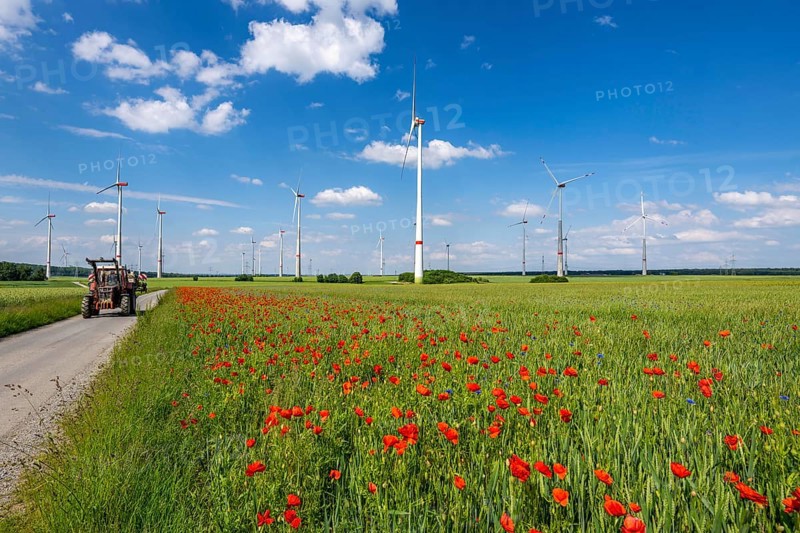 Wind farm, field with flower strips, insect-friendly border of fields with mixed flowers, poppies, north of Marsberg, Hochsauerlandkreis, North Rhine-Westphalia, Germany, Europe
