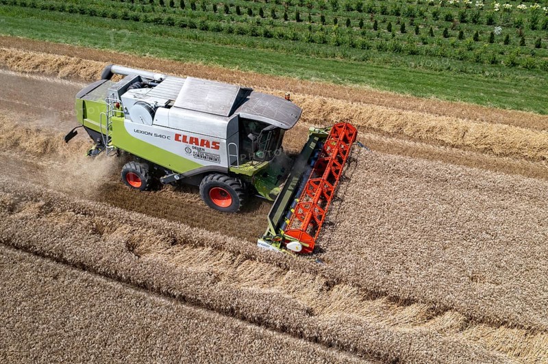 Agriculture, grain harvest, wheat, combine harvester harvesting in a wheat field, near Niederkrüchten, North Rhine-Westphalia, Germany, Europe