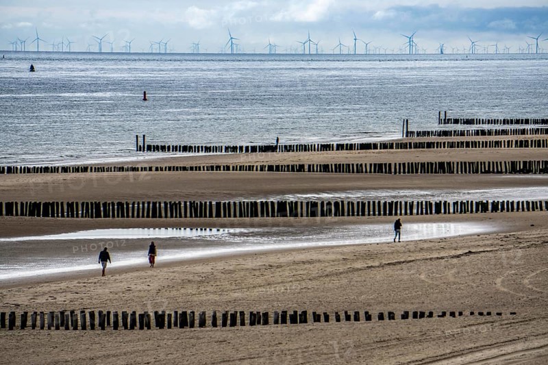 North Sea coast in Zeeland, called Zeeland Riviera, breakwater, made of wooden piles, near Zoutelande, offshore wind farm, municipality of Veere, Netherlands