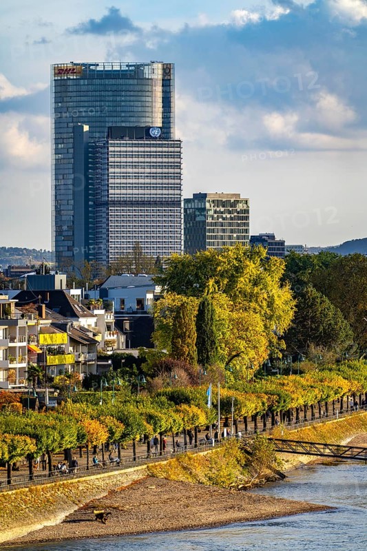 Skyline Bonn on the Rhine, in front the UNFCCC Secretariat of the Framework Convention on Climate Change, in the centre the United Nations high-rise building, Campus Bonn, behind it the Posttower, headquarters of Deutsche Post, Rhine bank Bonn-Beuel, riverside promenade, North Rhine-Westphalia, Germany, Europe