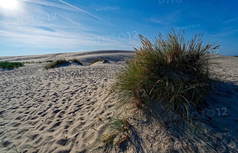 Dune landscape around the Lontz Dune, Wydma Lacka, the largest travelling dune on the Polish Baltic coast. It is located in the Slowinski National Park and is part of the UNESCO Slowinksi Biosphere Reserve. Leba, Pomerania, Poland, Europe