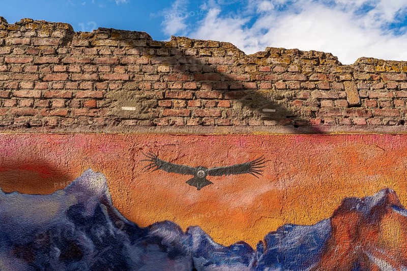 Colourful graffito with the image of an Andean condor (Vultur gryphus), street art in the city of Punta Arenas, Patagonia, Chile, South America