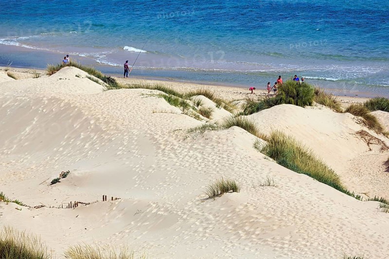 View from mobile dune to the sea, dune, coastline near Valdevaqueros, Tarifa, Costa de la Luz, Spain, Europe