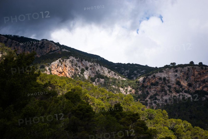 Dramatic mountain landscape with pine forest and solitary trees, Aleppo pines (Pinus halepensis) under dark clouds, storm clouds, rain clouds, with focussed light on a rock face, limestone, spotlight, spring, springtime, Serra de Tramuntana, Majorca, Spain, Europe