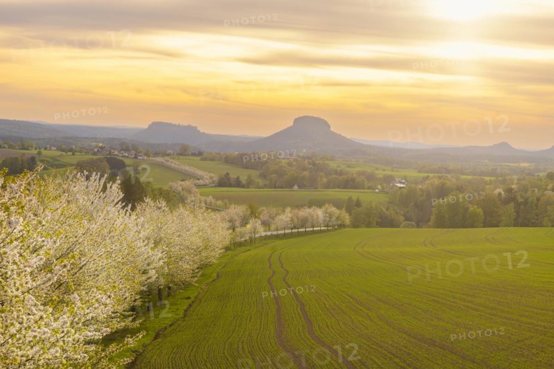 Spring in Saxon Switzerland, Altendorf, Saxony, Germany, Europe