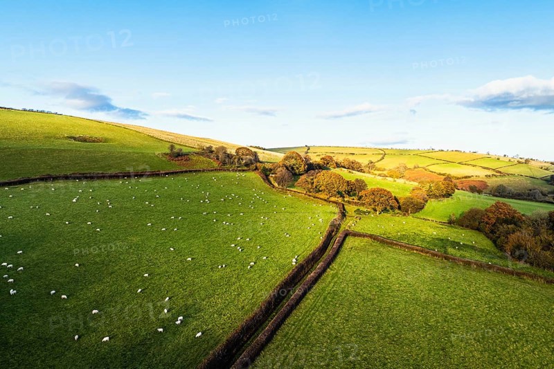 Farms over Trecastle from a drone at sunset, Brecon Beacons National Park, Powys, Wales, England, United Kingdom, Europe