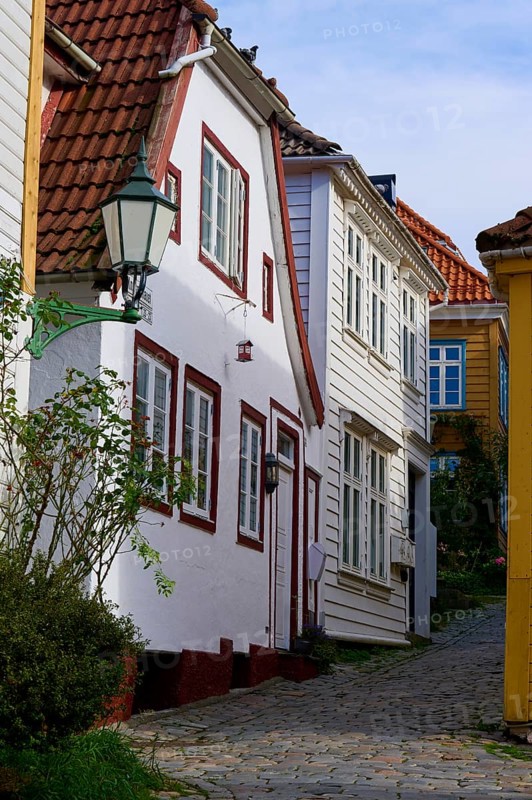 Historic town centre of Bergen with narrow streets and cobblestones surrounded by traditional half-timbered houses and plants, peaceful atmosphere under a clear sky, Bergen, Vestland, Norway, Europe