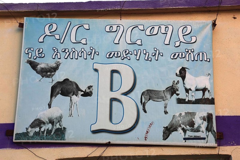 Aksum, Axum, advertising sign of a butcher's shop, Ethiopia, Africa