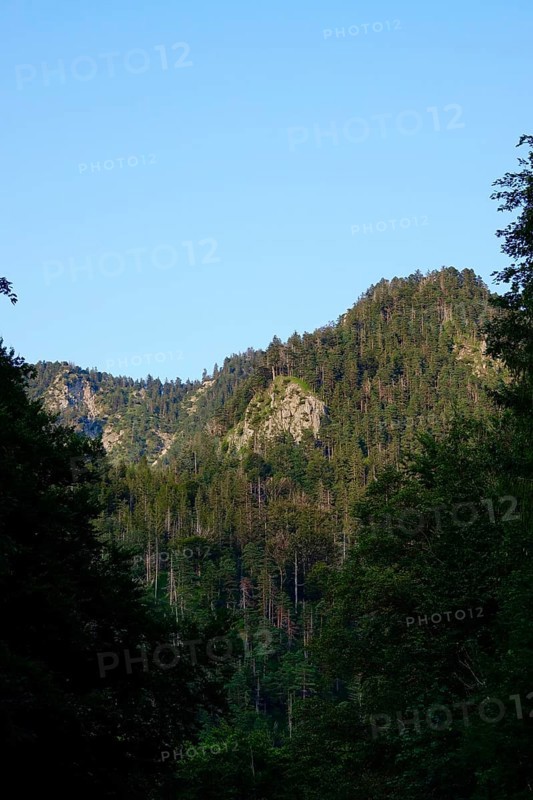 Mountain world near Kochel am See, August, Bavaria, Germany, Europe