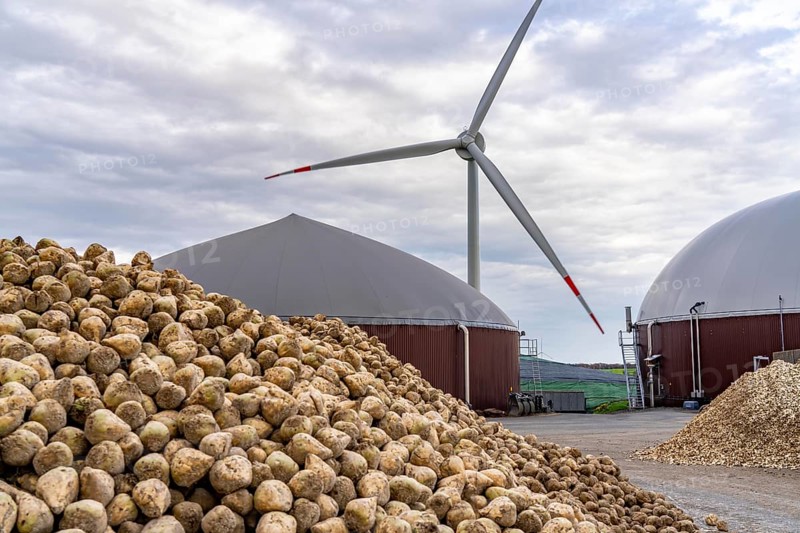 Biogas plant produces gas from various biomass, here the sugar beet storage, the electricity is produced in combined heat and power plants with the biogas produced and sold to companies in the neighbouring industrial estate, the heat generated is fed into a local heating network, gas storage and wind power plant, Ense, North Rhine-Westphalia, Germany, Europe