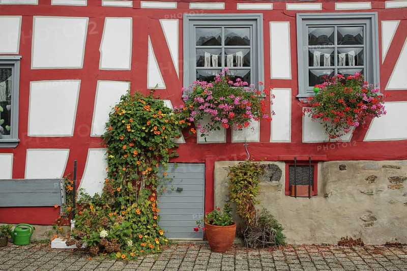 Half-timbered house with two windows, flower decoration and watering can, idyll with flower pots, Rossmarkt, Old Town, Limburg, Hesse, Germany, Europe